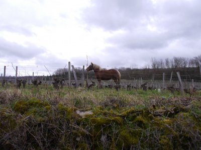 Kategoriebild der Kategorie “Jura”