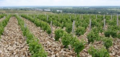 Kategoriebild der Kategorie “Loire”