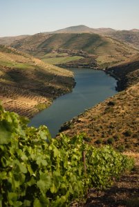 Kategoriebild der Kategorie “Douro”