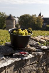 Weißwein