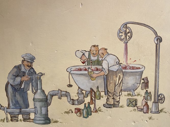 Kategoriebild der Kategorie “Wein”