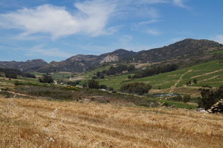 Kategoriebild der Kategorie “Swartland”