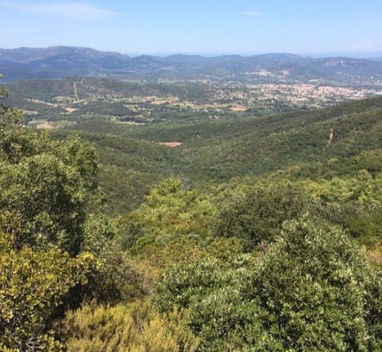 Kategoriebild der Kategorie “Rhône”