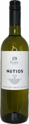 2025er Notios white 
