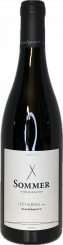 2020er Blaufränkisch Leithaberg DAC 