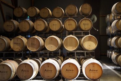 Artikelbild des Artikels “2024er Punto Final Malbec - Bodegas Renacer “