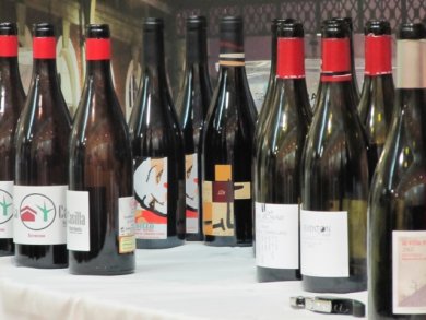 Artikelbild des Artikels “Geschenkgutschein Seminar Nur Rotwein “