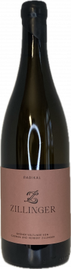 Artikelbild des Artikels “2021er Radikal Grüner Veltliner “