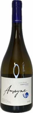 Artikelbild des Artikels “2020er Amayna - Sauvignon Blanc Cordón Hunica “