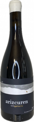 Artikelbild des Artikels “2020er sologarnacha “