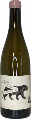 Artikelbild des Artikels “2022er Sauvignon Blanc Grande Reserve trocken “