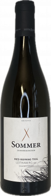 Artikelbild des Artikels “2021er Chardonnay Riefring Thal Leithaberg DAC “