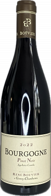 Artikelbild des Artikels “2022er Bourgogne Pinot noir “