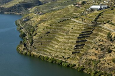 Artikelbild des Artikels “Geschenkgutschein Portugal - Entdeckerland entdecken! “
