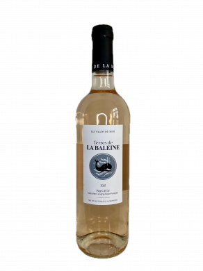 Artikelbild des Artikels “2025er Terres de La Baleine Rosé “