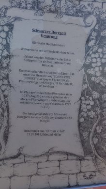 Artikelbild des Artikels “2019er Zellerweg am Schwarzen Herrgott Riesling tr. GG “