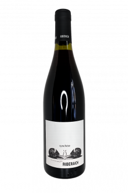 Artikelbild des Artikels “2014er Synthèse rouge IGP Côtes Catalanes “