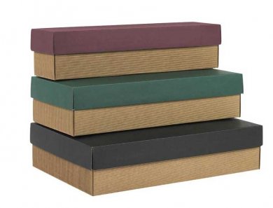 Artikelbild des Artikels “2er Geschenkkarton “