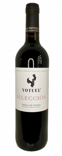 Artikelbild des Artikels “2019er Yotuel Seleccion “