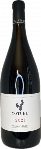 Artikelbild des Artikels “2021er Yotuel  - Magnum 1,5l “