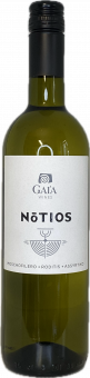 2025er Notios white 