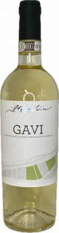 2024er Gavi DOCG 