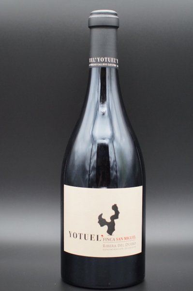 Artikelbild 1 des Artikels “2010er Yotuel Finca San Miguel “