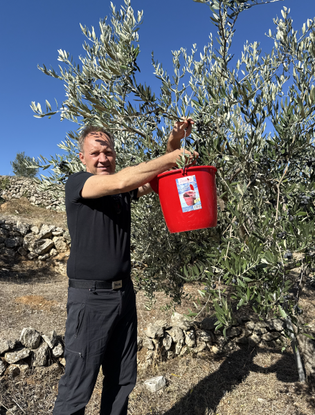 Artikelbild des Artikels “Olivenöl Selektion Weinlade 0,5 l “