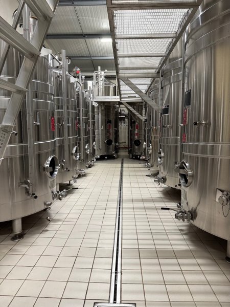 Artikelbild des Artikels “Coste Beert Brut Blanc de Blancs Brut Grand Cru “