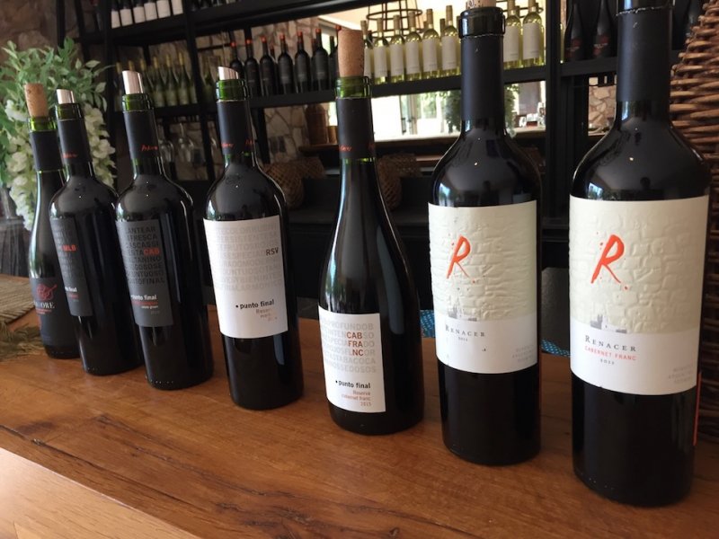 Artikelbild des Artikels “2021er Punto Final Malbec Reserva - Bodegas Renacer “