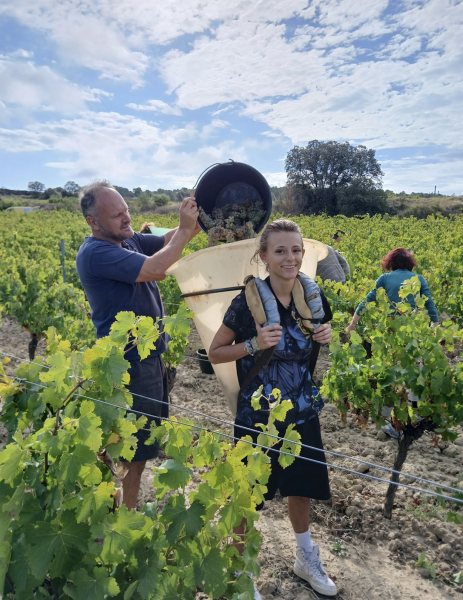 Artikelbild 3 des Artikels “2023er Minervois Terres de Grès “