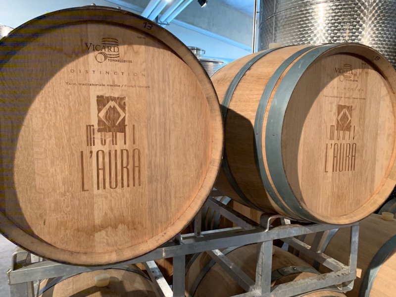 Artikelbild 3 des Artikels “2016er Barolo Monforte d'Alba “