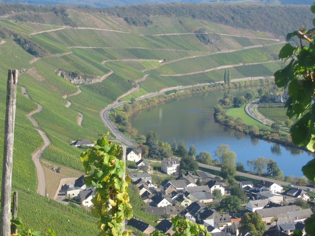 Artikelbild 4 des Artikels “Geschenkgutschein Faszination Riesling “